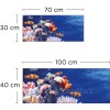 Crédence de salle de bain poissons clowns
