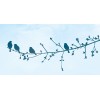 Tête de lit Oiseaux