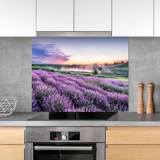 Fond de hotte champs de lavandes provençales