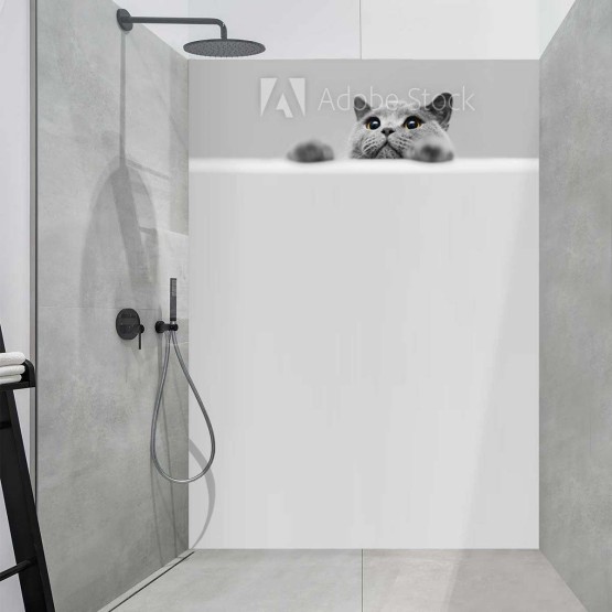Panneau Douche chat curieux