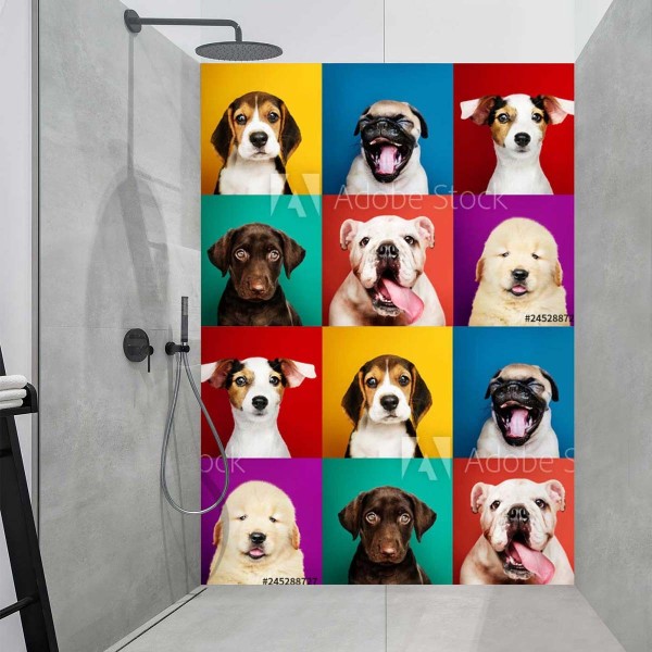 Panneau Douche mosaïque multicolore chiens