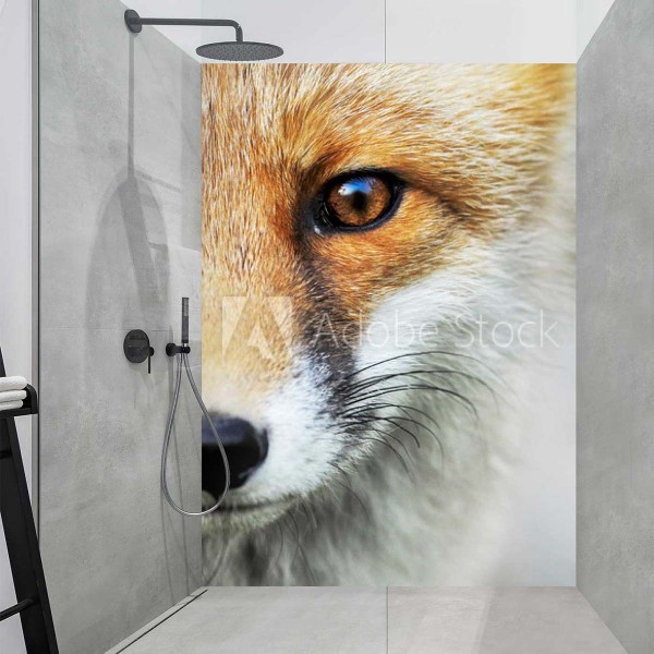Panneau Douche museau de renard