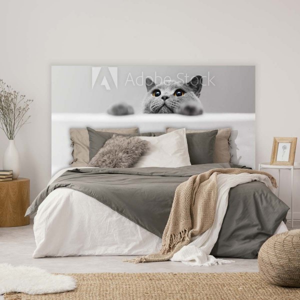 Tête de lit Chat curieux